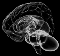 HolisticInfoSec
